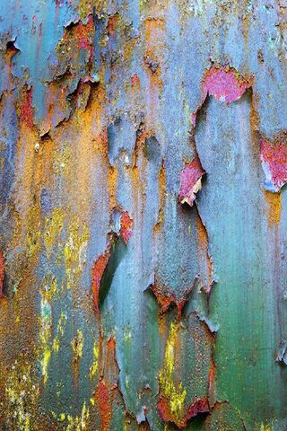 Rustic Vibes: A Journey Through Time 🌈🕰️
