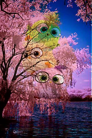 Angry Birds in a Dreamy Wonderland 🌸🐦