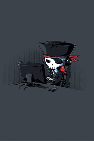 Pirate of the Digital S..