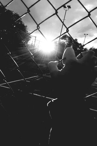 Chasing the Light: A Gl..