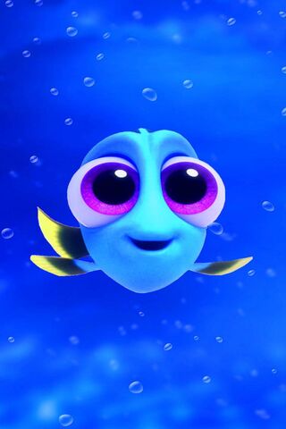 Dory