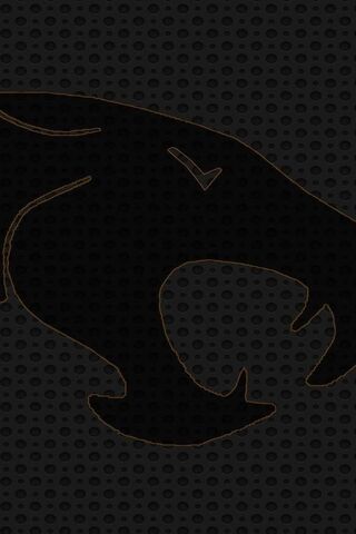 The Roar of the ThunderCats! ⚡🐾