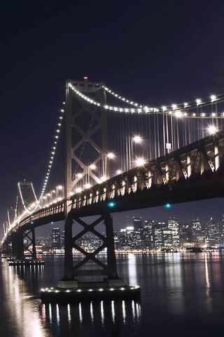 City Lights: The Illumi..