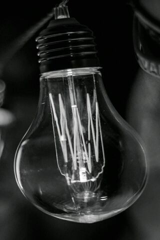 Illuminating Mystery: The Dark Bulb