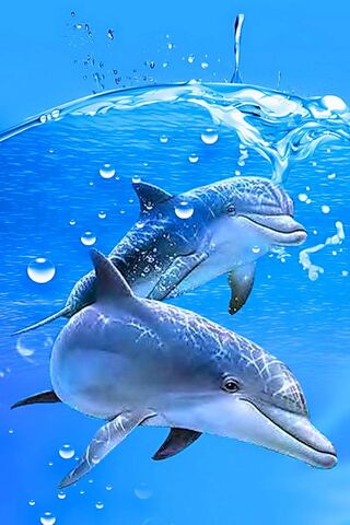 Dancing in the Deep Blu..
