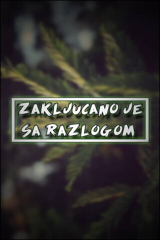 Unlocking the Mystery of Zakljucani Zaslon