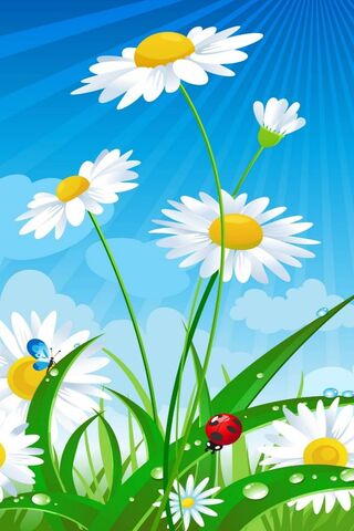 Summer Blooms: A Vibran..