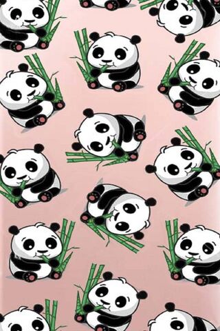 Panda Paradise: A Playf..