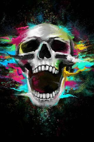 Vibrant Echoes of the Skull