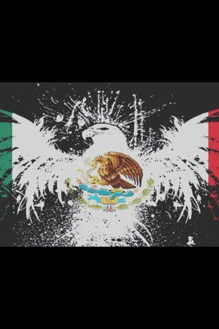 The Spirit of Mexico 🇲🇽✨