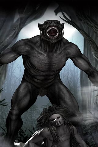 The Dark Transformation
