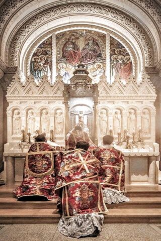 Sacred Moments: The Catholic Eucharist in Worship ✝️✨