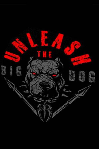 Unleash the Big Dog! 🐾