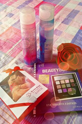 Beauty and Bliss: A Touch of Everything Nice 🌸✨