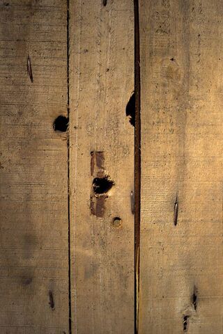 Rustic Charm of Wood Planks 🌲✨