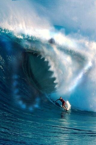 Wave of Danger: The Shark Encounter 🦈🌊