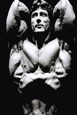 Strength in Shadows: The Frank Zane Legacy