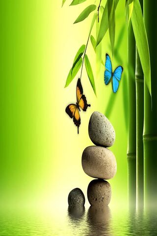 Tranquil Harmony: Nature's Spa Stones 🌿🦋