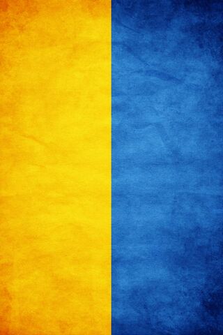 Colors of Resilience: The Ukrainian Flag 🇺🇦