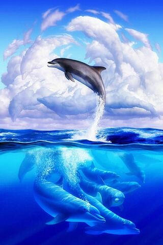 Dolphin Dreams: A Splas..