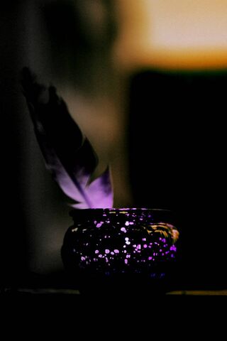 Mystical Glow of the Sparkling Feather ✨🪶