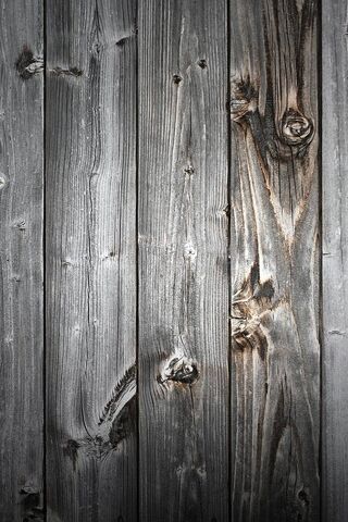 Nature's Canvas: The Beauty of Wood 🌳✨
