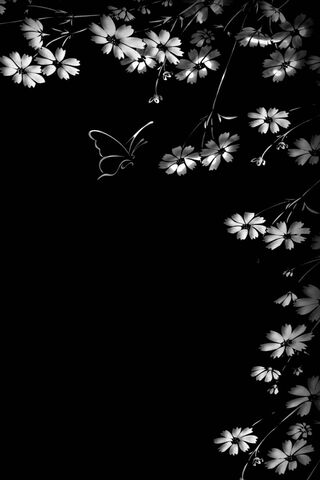 Whispers of the Night: ..