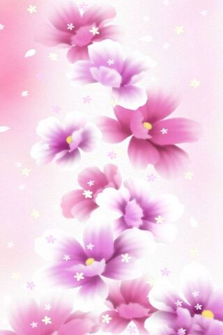 Pink Flowers