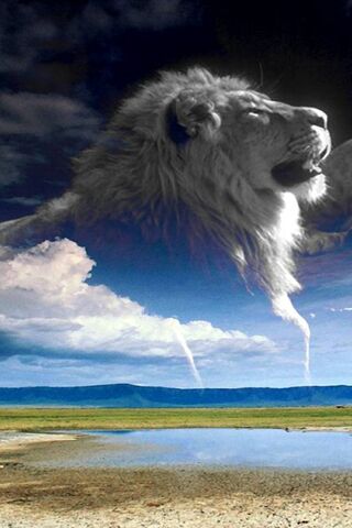 Majestic Roar of the Sk..