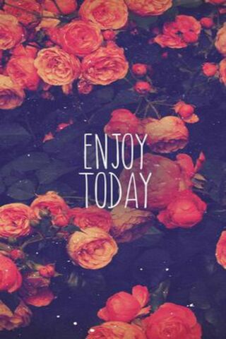 Enjoy Today