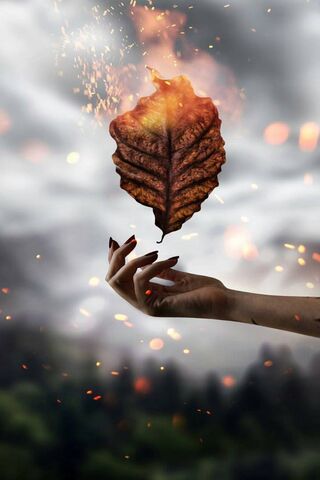 Embers of Enchantment: The Magic Leaf 🍂✨