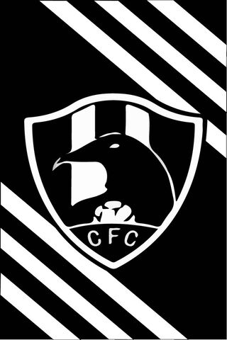 Club De Cuervos