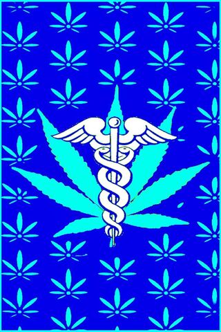 Healing Harmony: The Fusion of Medicine and Nature 🌿⚕️