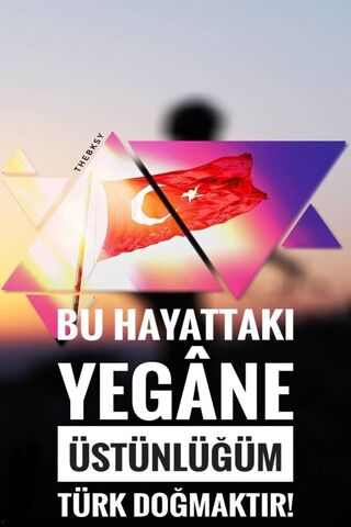 Pride of the Turk: A Sy..