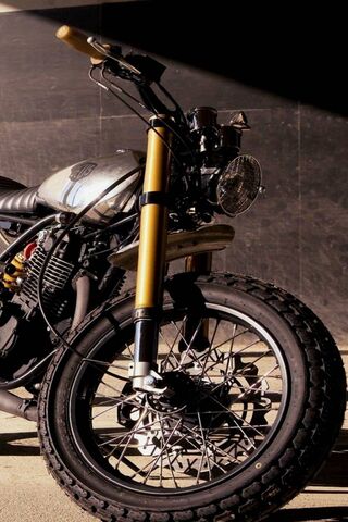 Revving Up Style: The C..
