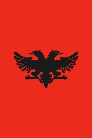 The Majestic Shqiponja: Symbol of Strength and Heritage 🦅❤️