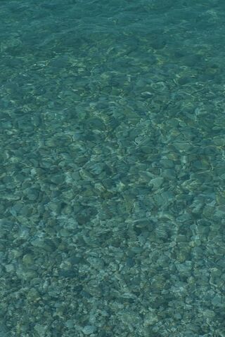 Crystal Clear Waters: Nature's Serenity 🌊✨