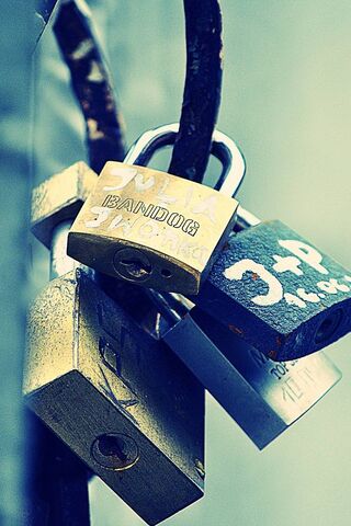 Secured Connections: The Art of Locks 🔒✨