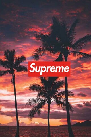 Featured image of post Cool Supreme Wallpapers For Phone - We have a lot of cool and free background wallpapers for you.