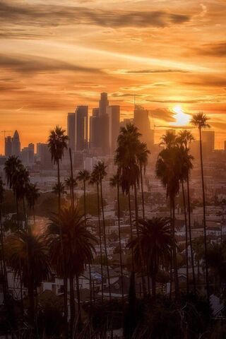 Sunset Los Angeles