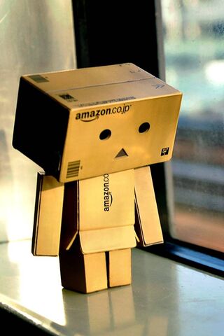 The Boxed Wonder: A Fixed Gaze