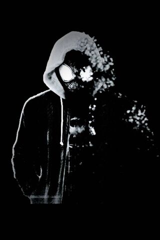 Shadow of the Web-Slinger 🕷️🖤