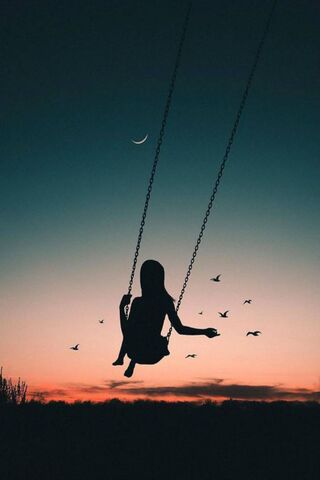 Soaring into the Sunset 🌅