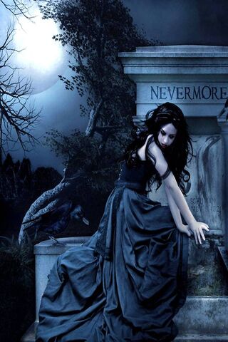 Whispers of the Night