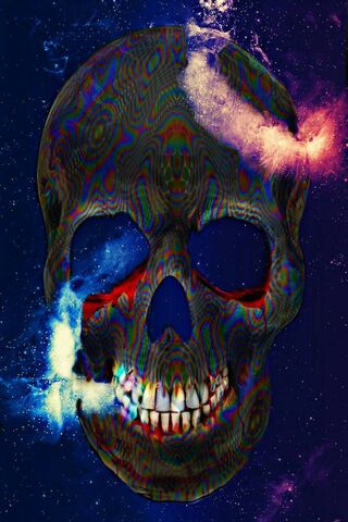 Cosmic Cranium: A Journ..