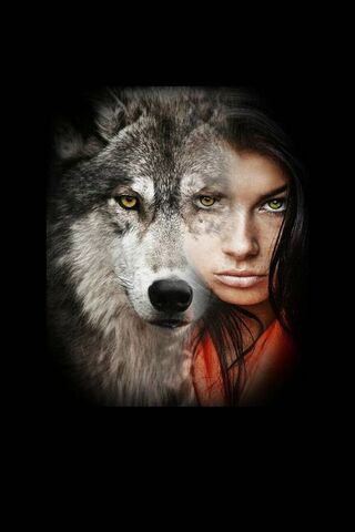 Wild Spirit: The Wolf W..