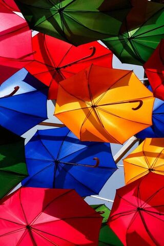 Colorful Canopy: A Celebration of Umbrellas ☂️🌈
