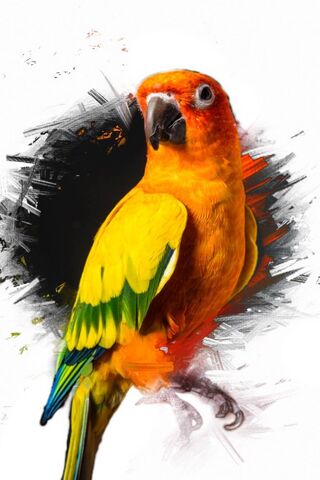 Maverick the Colorful P..