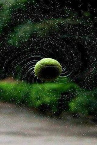 Whirling Wonder: Nature's Spin