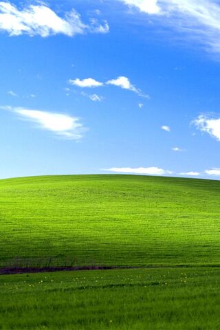 Windows Xp Bliss